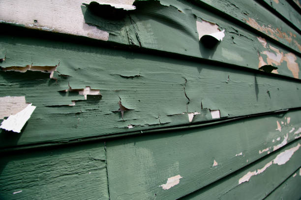 Best Composite Siding  in Lake Lure, NC