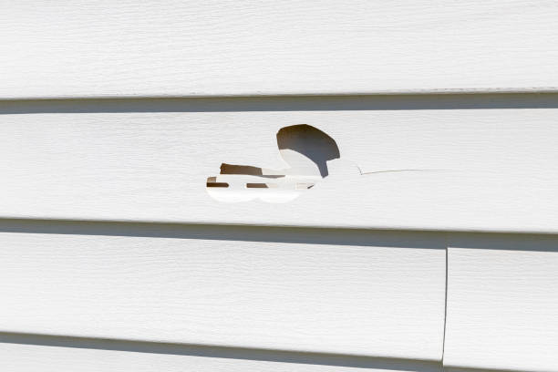 Best Engineered Wood Siding  in Lake Lure, NC