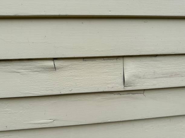 Best Siding for Commercial Buildings  in Lake Lure, NC